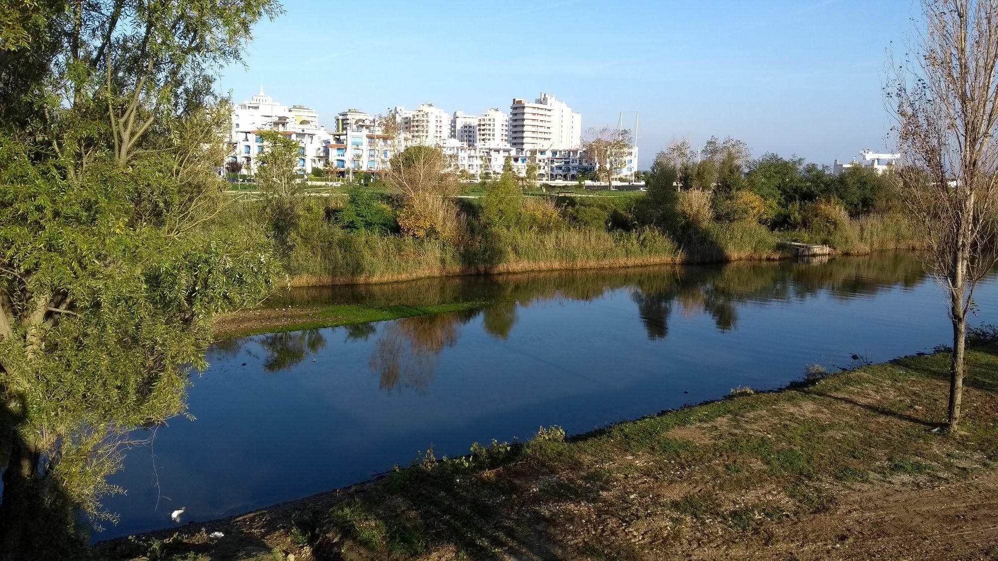 Portoverde Beach Apartments Misano Adriatico Εξωτερικό φωτογραφία